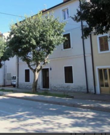 Pet Friendly Apartment Murvi 50 Novigrad (Istria) Exterior foto